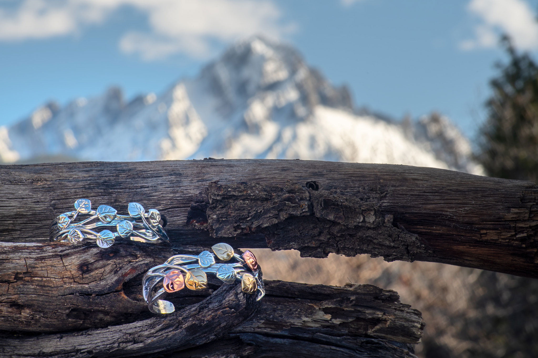Aspen Collection Branch Bracelets on log